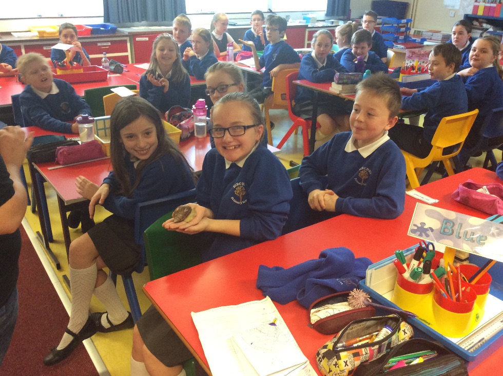 Zoolab Visit to P6/7